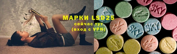 PSILOCYBIN Няндома